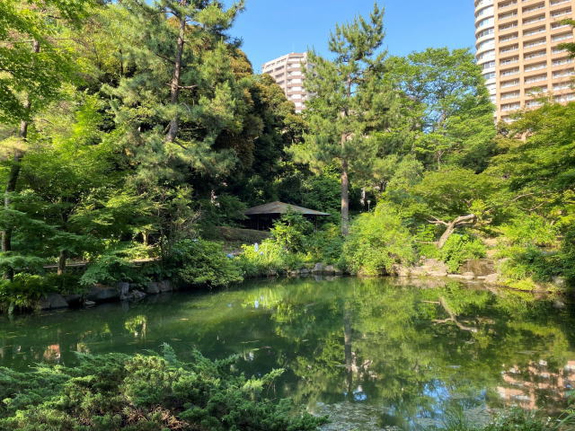 高田馬場 地域情報 山手線 東西線 西武新宿線 学生街 住宅街 早稲田通り 公園